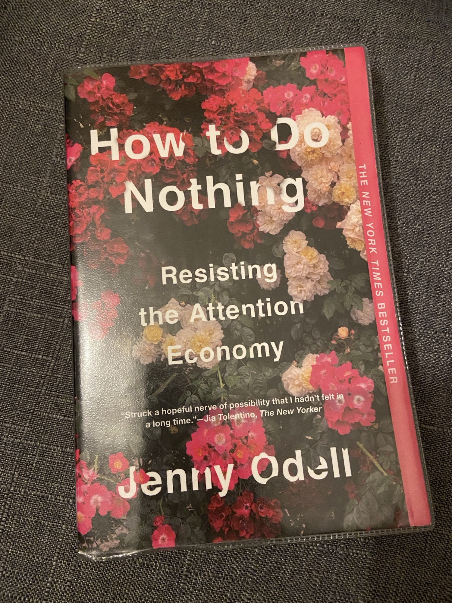 How to Do Nothing by Jenny Odell | Nomad of the Universe
